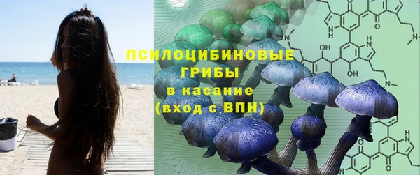спайс Абдулино